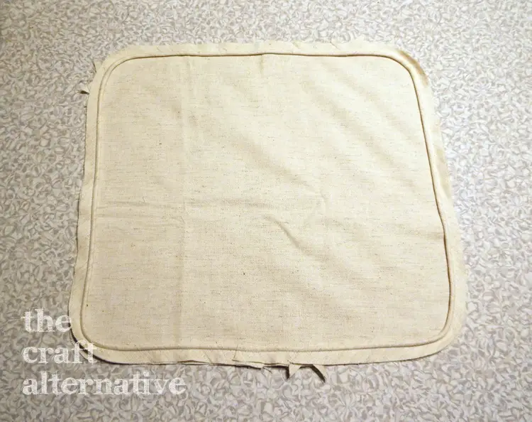 Make a Pillow with a Needlepoint Piece DSCF2264